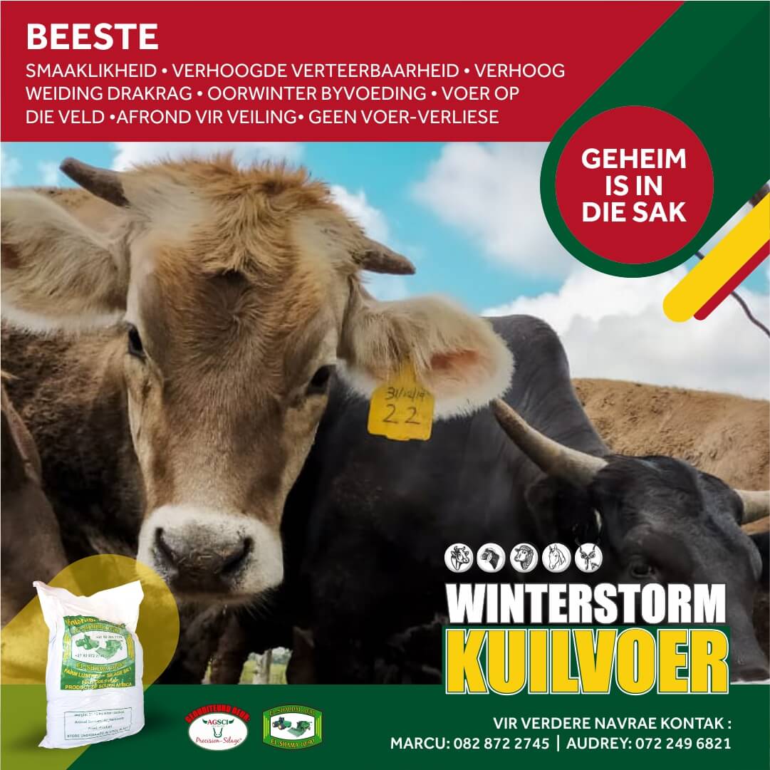 Social Media MEI 2021 - Beeste