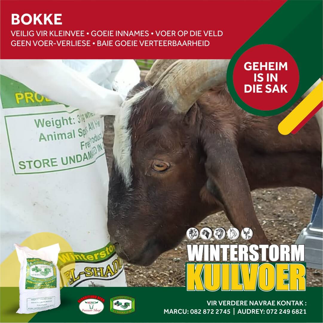 Social Media MEI 2021 - Bokke